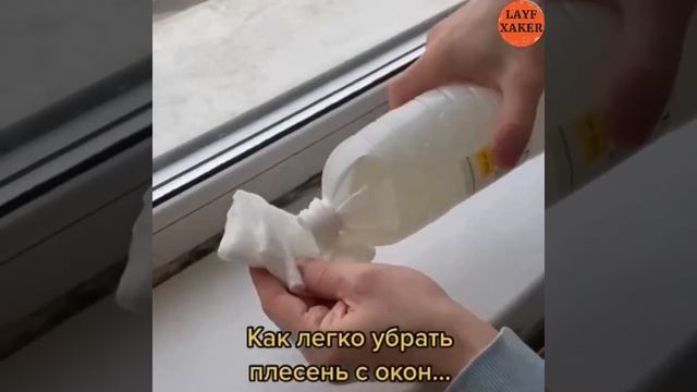 Как легко убрать плесень с окон смотреть онлайн