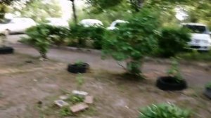 02-06-2025 старшая по дому броет все