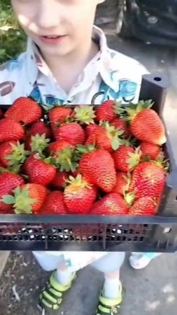 Коробочка клубники🍓🍓