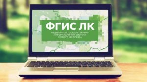 Отчеты по охране и защите лесов
