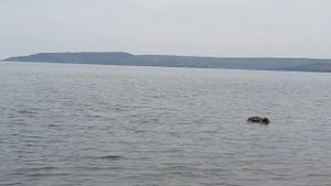 Тишь да гладь, просто благодать: Азовское море в лучах заката 🌊✨