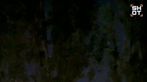 Более 10 взрывов в Липецке