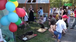 В Уфе прошла акция помощи животным "Ищу человека"