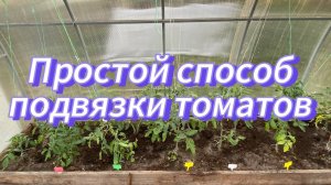 Самый простой способ подвязки всех овощных культур в теплице