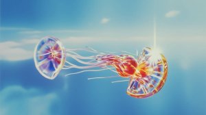 Пластиковый океан Клип