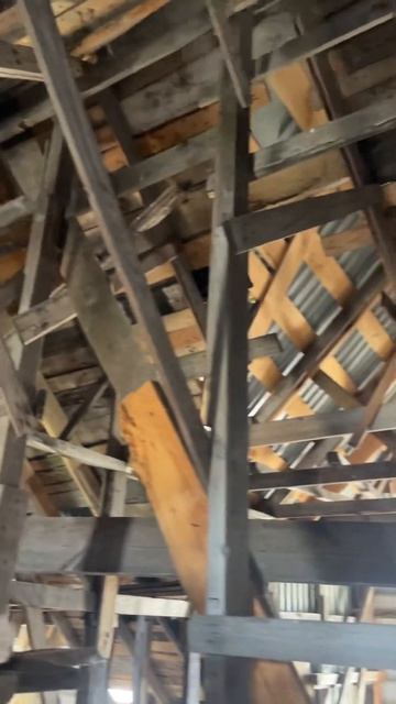 Эковата , крыша из полетов 😃#эковата #эковатамичуринс смотреть онлайн