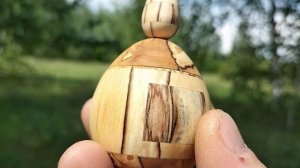 Шкатулка в летнем лесу на березе