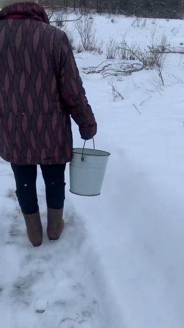 За водой на колодец 💦 смотреть онлайн