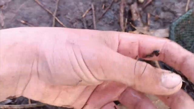 Друзья очистка моего пруда.А также много рыбы. смотреть онлайн