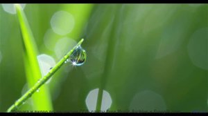 Звуки, используемые для телепортации - первые эксперименты! - Tickle my Pickle -- Dr Sparkles -- The
