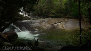 4K Far North Australia: Queensland Rainforests to Great Barrier Reef 1HR Nature Relaxation Film