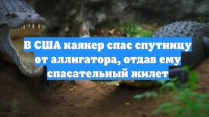 В США каякер спас спутницу от аллигатора, отдав ему спасательный жилет