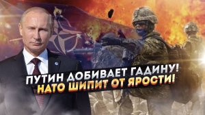 5 шагов НАТО к мировому «замесу»! Запад решил пойти ва-банк!