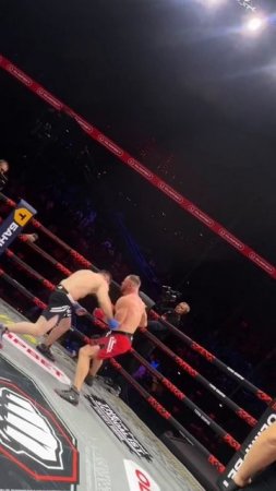 Лучшие нокауты Подпишись и ставь лайк #ufc #mma #youtube #sports #tiktok #shortsvideo #russia #box