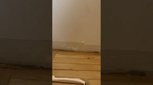 Монтаж МДФ плинтуса на кривые стены и кривой пол полно