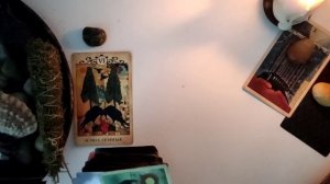 🐈⬛Ваш человек-вампир🌒