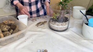 Как сделать флорариум с эпоксидной смолой #мастерклас