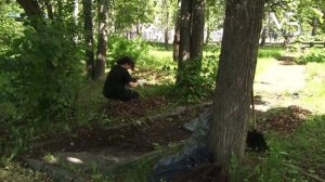 Путевка в трудовое лето