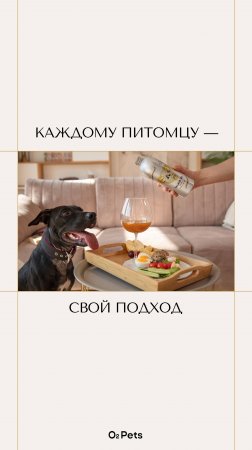 Каждому питомцу — свой подход
