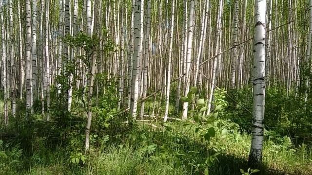 Мой идеальный день: лайфстайл и рутина Блогмен55