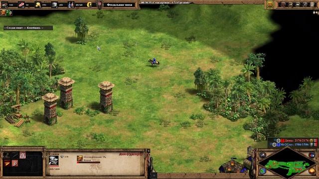 Age of Empires II Definitive Edition против сильного соперника в Steam смотреть онлайн