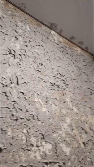 Первый слой нанесения веницианской штукатурки смотреть онлайн