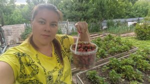 Влог: Красота на даче. 01.06.25