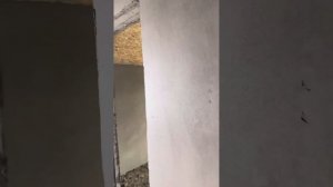 Шыбак Машинная штукатурка Бишкек Штукатурка стен