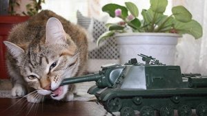 Катаем Угараем Орем в Монитор