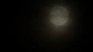 Круг замкнулся...