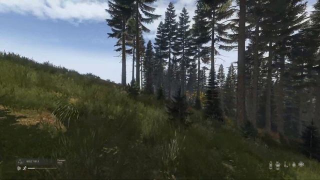 Соло ИГРОК становится СНАЙПЕРОМ в DayZ смотреть онлайн