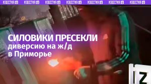 Диверсию пресекли силовики в Приморье: предатели пытались поджечь инфраструктуру ж/д