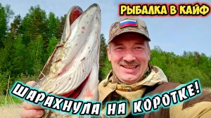 Рыбалка на Финском заливе.
Шарахнула на коротке.