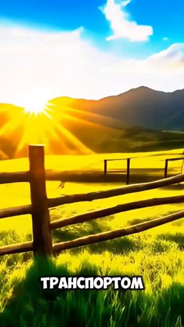 Жизнь в Латинской Америке (минусы Колумбии) #комфорт #fa смотреть онлайн