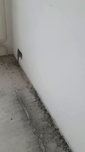 #Черновая#Электрика#Штробы#Подрозетники# смотреть онлайн