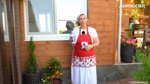 Сегодня расскажем вам о растении, которое станет настоящим украшением вашей веранды этим летом! 🌱