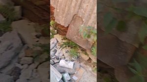 Сравнение штукатурно-клеевой смеси для пенопласта