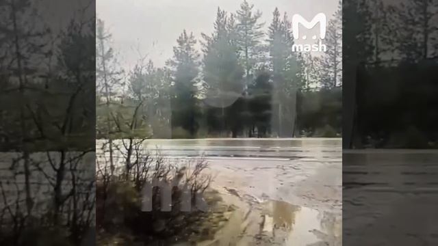 "У нас война началась"
Реакция на атаку БПЛА в Мурманской области местного жителя.