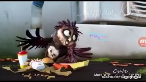 Клип Трио в перьях "Don't"