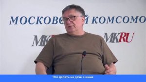 Что делать на даче в июне. 2025