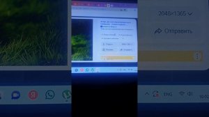 как изменить обои на пк Windows 11