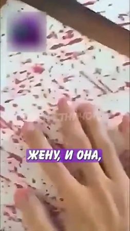 Новостничок (258)
