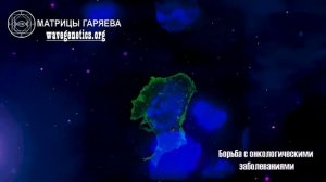 Матрица Гаряева - матрица для улучшения самочувствия. Сокращённая версия.
