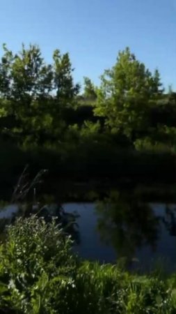 На берегу.