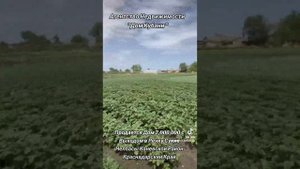 Агентство Недвижимости "Дом Кубани "ст Каневская ул Таманская дом 124 , 89186922458