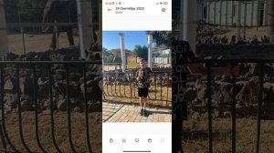 как поставить обои с галереи на redmi