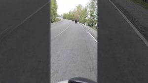 Поездка на байках Карелия
