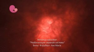 Матрица здоровья ─ «Реабилитация нервной системы»
