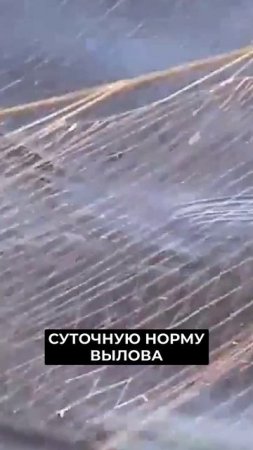 📍В Приуральском районе представители власти встретились с рыбаками