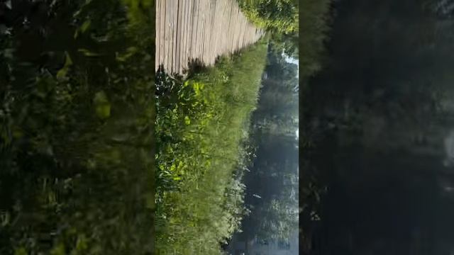 Без Маршрута: Куда Приведет Лесная Дорога? смотреть онлайн